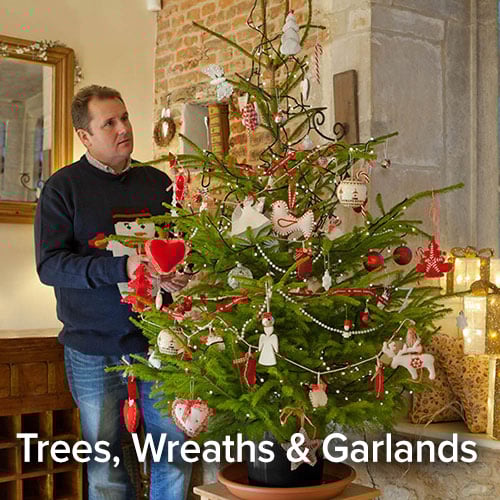 Trees, Wreaths, Garlands & Plants